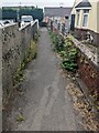 Weed-lined path in July 2022, Malpas, Newport