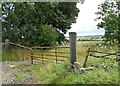 Roadside gates on Lead Road