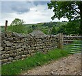 Bouthwaite, track