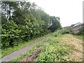 Footpath alongside Afon Llwchwr