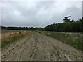 Gravel track near Douglas