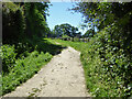 Track to allotments, Turners Hill