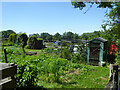 Allotments, Turners Hill