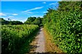 Swindon : Footpath