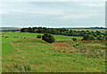 Benston Quarry site