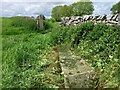 Eshton, Throstle Nest Farm, gateposts