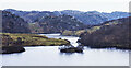 Small island in Loch Fasg an t-Seana Chlaidh