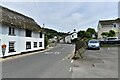 Axmouth: Pound Hill from St. Michael