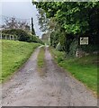 Access road to Grove Cottage Boarding Cattery, Lower Grove, Herefordshire