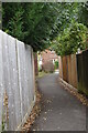 Alleys-oop Petersfield: The Secret Path