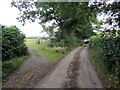 Llwybr Penlanwen / Penlanwen path