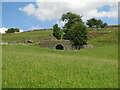 Lime kiln and disused quarry near Whitestones Farm