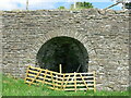 Lime kiln near Whitestones Farm - arch