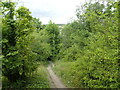 Path down from Darland Banks