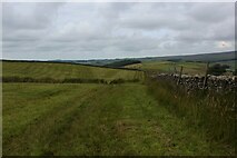 SD6054 : Field beside White Moor by Chris Heaton
