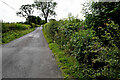 Hidden bridge along Dunnamona Road