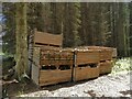 Crates of logs in Kingslaw Plantation