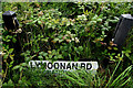 Damaged road sign along Killymoonan Road