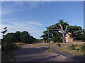 Approaching the junction of Oak Tree Drive and Palm Grove