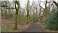 Wooded path in Boggart Hole Clough