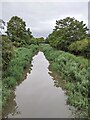 Droitwich Canal from footbridge