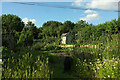 Allotments, Old Hollow, West Malvern