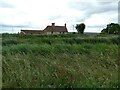 Linden Farm, almost hidden by riverside vegetation