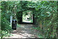 Path up to derelict pithead baths