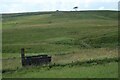 Track side hut by former Thorlieshope Lime Works