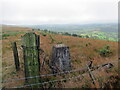 Piler triongli uwchben Maesglas / Triangulation pillar above Maesglas