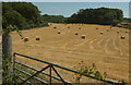 Straw bales near Hatherleigh