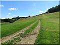 Track ascending the flank of Water Dale