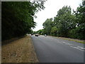 Weybridge Road (A317)