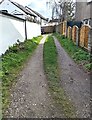 Path between houses, Caerleon