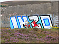 NT3438 : Graffiti on the old reservoir, Kirnie Law by Jim Barton