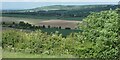 Whiteleaf Hill seen in the distance from Bledlow Ridge