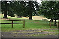 Chetwynd Park Deer Park, seen from the footpath