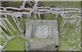 Ladock - Church of St Ladoca - Carved freestone head in porch