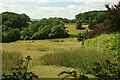 Field near Slade Farm