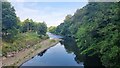 River Taff from Gwaelod-y-Garth Footbridge