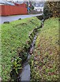 Upstream along a brook, Llanvair Discoed