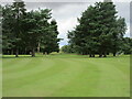 North Inch Golf Course, 17th Hole, The Pines