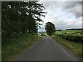 Minor road at Gillenbie Cottage