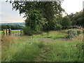 Stravenhouse Road footpath from Law to Birks Road