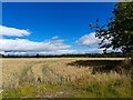 Farmland near Loch Eye