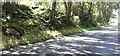 Rural road passing through woodland at Bleaberry Hill