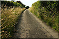 Sabrina Way near Lower Vinesend Farm