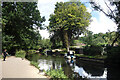 Basingstoke Canal at Frimley Lodge Park