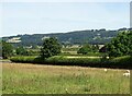 View across the fields at Dilston