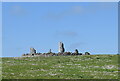 Craighead stone circle (another view)